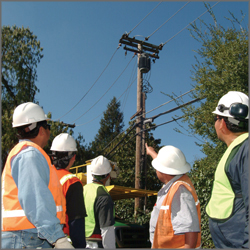 Workers survey work site