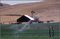 Irrigation system